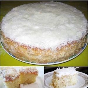 Bolo Três Leites com Coco: Bem Molhadinho e Fácil
