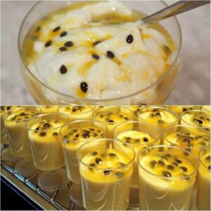 Mousse de Maracujá Fácil com Leite Condensado