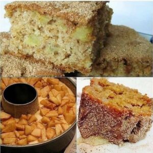 Bolo Integral de Aveia e Maçã